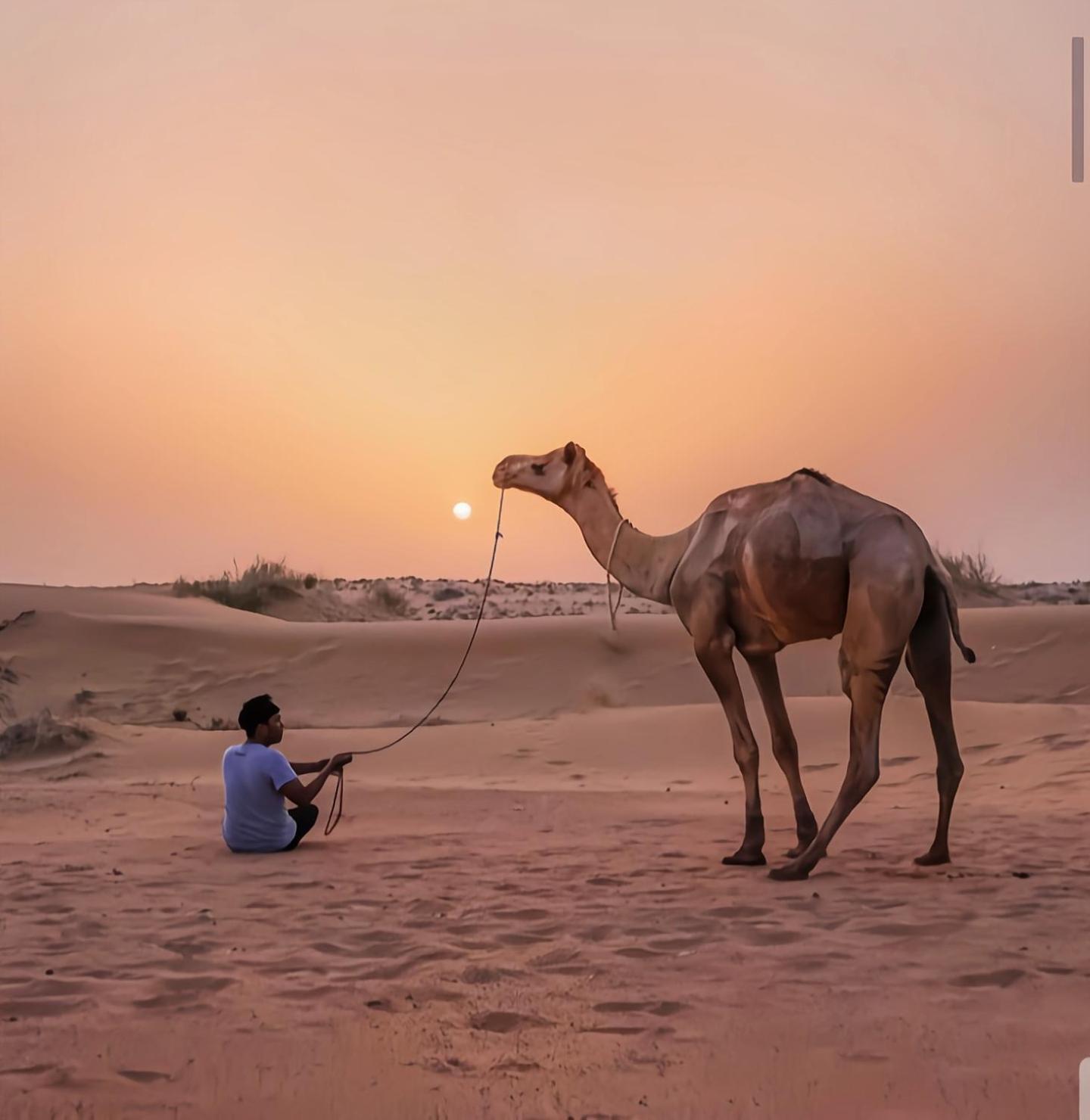 The Saffron Desert Camp ジャイサルメール エクステリア 写真